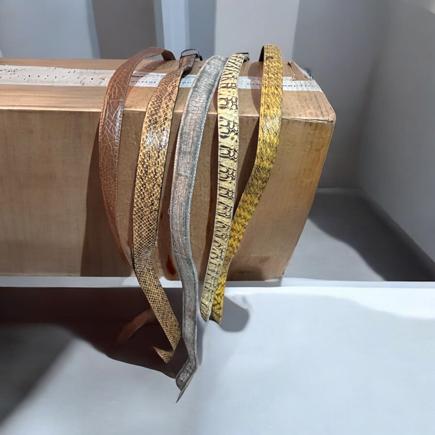 Snake skin & leather belts